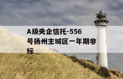 A级央企信托-556号扬州主城区一年期非标
