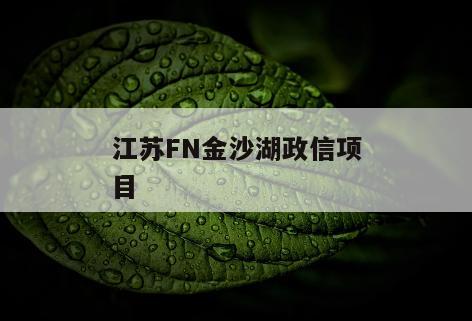 江苏FN金沙湖政信项目