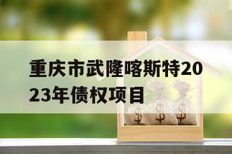 重庆市武隆喀斯特2023年债权项目