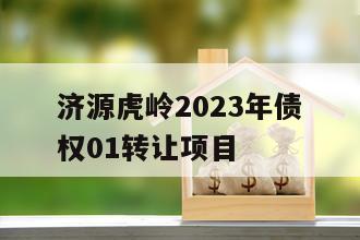 济源虎岭2023年债权01转让项目
