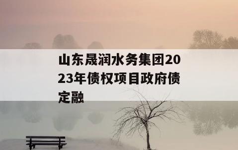 山东晟润水务集团2023年债权项目政府债定融