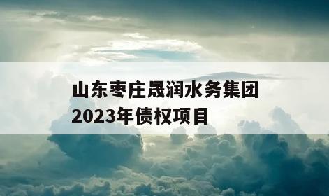 山东枣庄晟润水务集团2023年债权项目