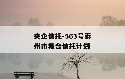 央企信托-563号泰州市集合信托计划