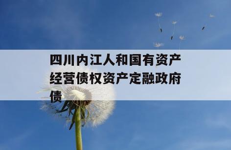 四川内江人和国有资产经营债权资产定融政府债