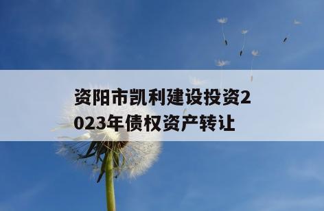 资阳市凯利建设投资2023年债权资产转让