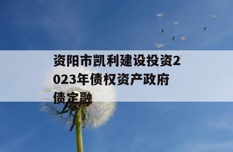 资阳市凯利建设投资2023年债权资产政府债定融