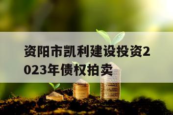 资阳市凯利建设投资2023年债权拍卖