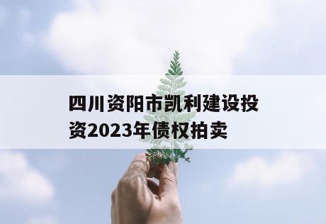 四川资阳市凯利建设投资2023年债权拍卖