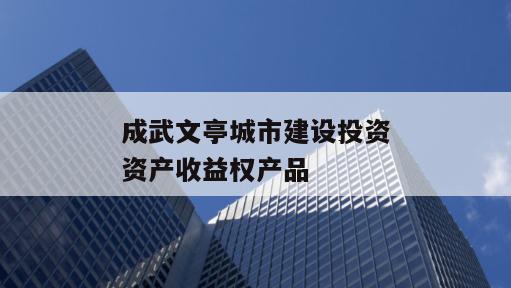 成武文亭城市建设投资资产收益权产品