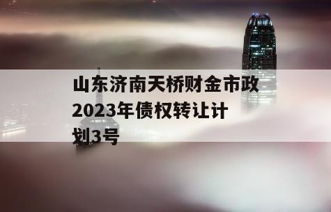 山东济南天桥财金市政2023年债权转让计划3号