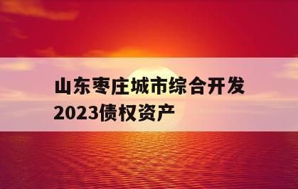 山东枣庄城市综合开发2023债权资产