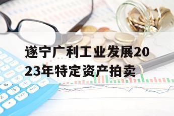 遂宁广利工业发展2023年特定资产拍卖