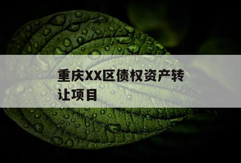 重庆XX区债权资产转让项目