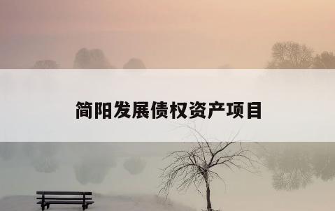 简阳发展债权资产项目