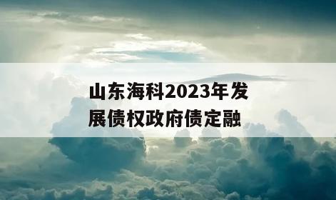 山东海科2023年发展债权政府债定融