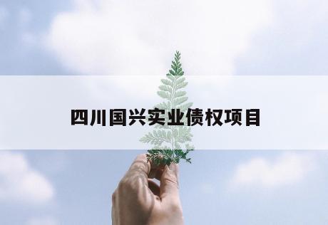 四川国兴实业债权项目