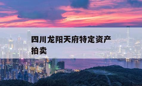 四川龙阳天府特定资产拍卖