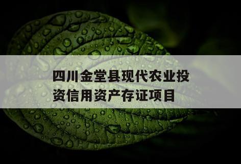 四川金堂县现代农业投资信用资产存证项目