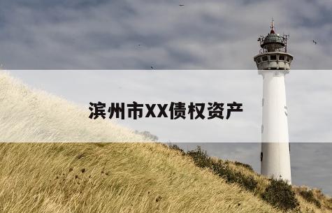 滨州市XX债权资产