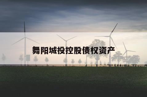 舞阳城投控股债权资产