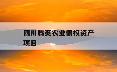 四川腾英农业债权资产项目
