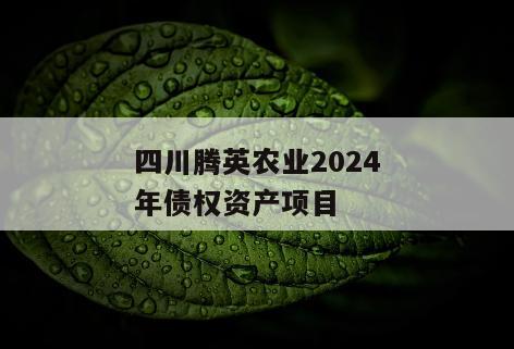 四川腾英农业2024年债权资产项目