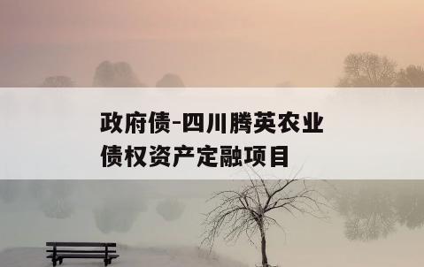 政府债-四川腾英农业债权资产定融项目