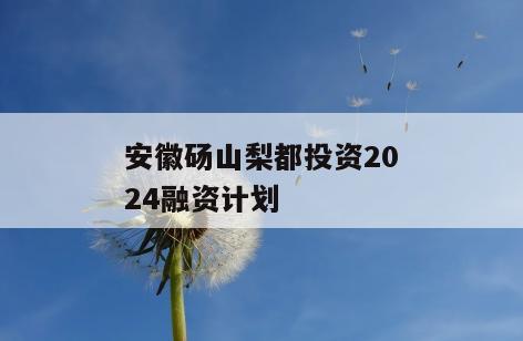 安徽砀山梨都投资2024融资计划
