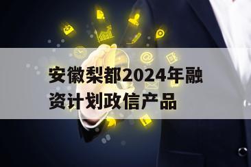 安徽梨都2024年融资计划政信产品