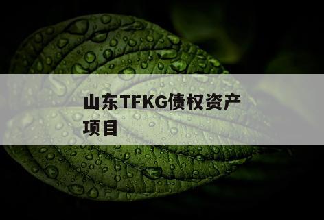 山东TFKG债权资产项目