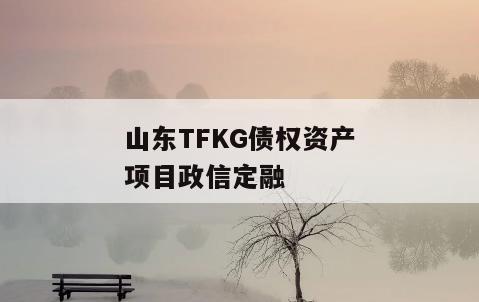 山东TFKG债权资产项目政信定融