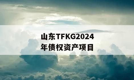 山东TFKG2024年债权资产项目