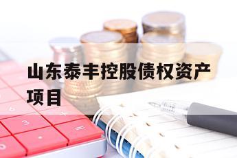 山东泰丰控股债权资产项目