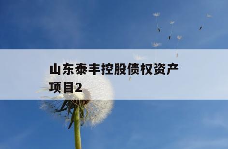 山东泰丰控股债权资产项目2