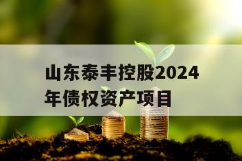 山东泰丰控股2024年债权资产项目