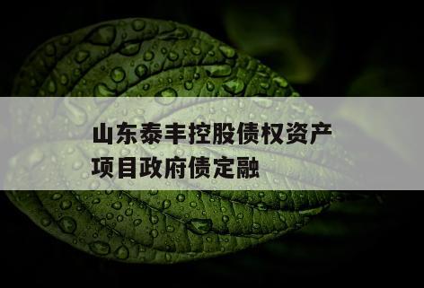 山东泰丰控股债权资产项目政府债定融