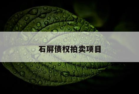 石屏债权拍卖项目