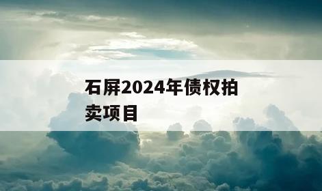石屏2024年债权拍卖项目