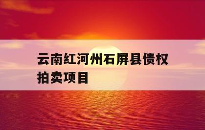 云南红河州石屏县债权拍卖项目