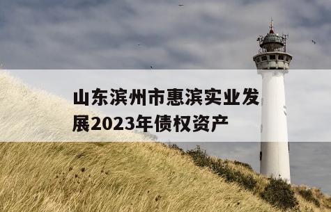 山东滨州市惠滨实业发展2023年债权资产