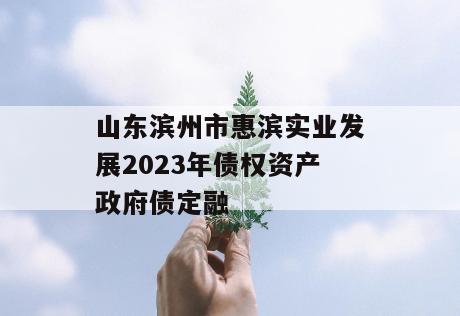 山东滨州市惠滨实业发展2023年债权资产政府债定融