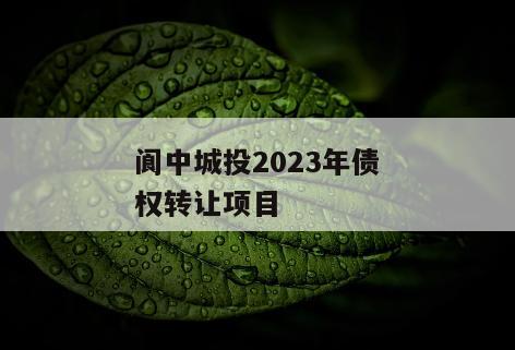 阆中城投2023年债权转让项目