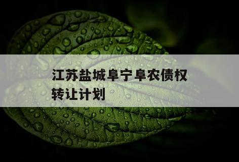 江苏盐城阜宁阜农债权转让计划