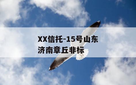 XX信托-15号山东济南章丘非标