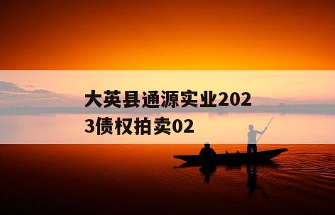 大英县通源实业2023债权拍卖02