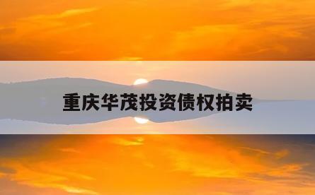 重庆华茂投资债权拍卖