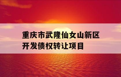 重庆市武隆仙女山新区开发债权转让项目