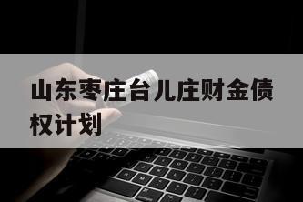 山东枣庄台儿庄财金债权计划