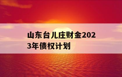 山东台儿庄财金2023年债权计划