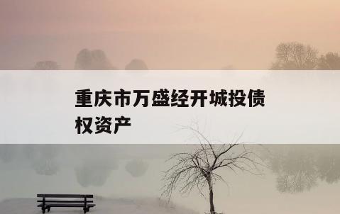 重庆市万盛经开城投债权资产